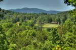 Whippoorwill Calling - Aerial View